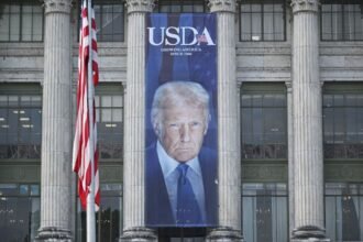 the-usda-wants-states-to-hand-over-food-stamp-data-by-the-end-of-july