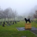 What pet cemeteries indicate about being human