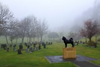 What pet cemeteries indicate about being human