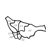 Sudan navy torturing of us to demise, says rights community