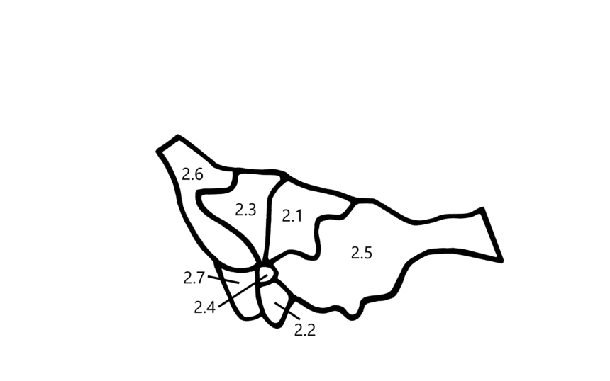 Sudan navy torturing of us to demise, says rights community