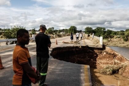 000_92YJ3MD-1768630934