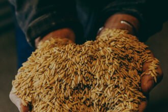 00biz-mississippi-02-lhbq-mediumSquareAt3X