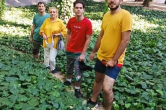 00int-iran-deaths07-facebookJumbo