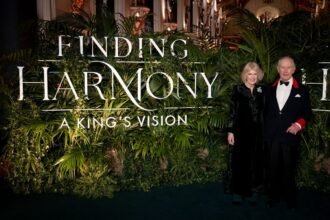 01KG315ZY1MJQ400W8G3HYRSAR