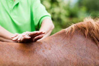 03d6f710-f2d9-11f0-b385-5f48925de19a