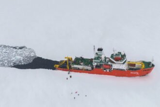 14cli-av-snowball-still-promo-gvpl-mediumSquareAt3X