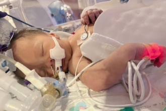 186f8d50-fb98-11f0-a47f-d352a7d9988a