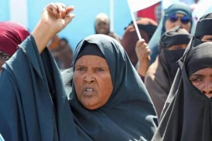 1bcb0510-f16b-11f0-b34c-412d8cd6a3dc