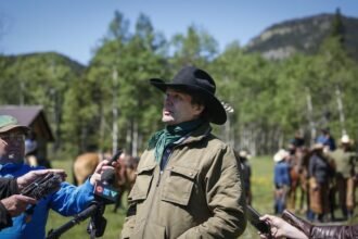 20240223180252-65d92fd91e88372744490a17jpeg_852f63