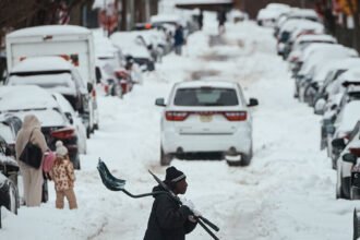 29cli-newsletter-renewables-cold-01-pkwj-mediumSquareAt3X