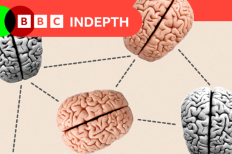 2e1fd6c0-6c40-11ef-b970-9f202720b57a