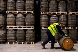 31c6f920-d77e-11f0-bae6-5b7b62b871d0