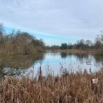 3446d090-f235-11f0-b0c7-71b671ae4961