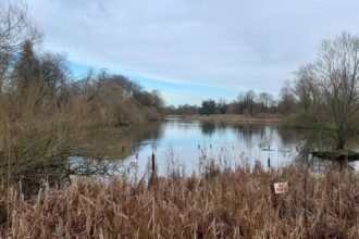 3446d090-f235-11f0-b0c7-71b671ae4961