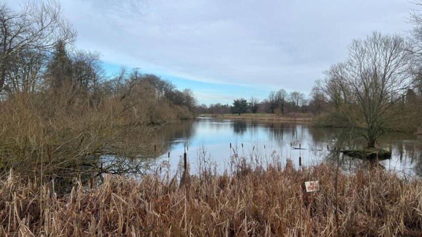 3446d090-f235-11f0-b0c7-71b671ae4961