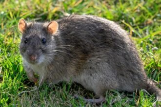 3fe7a3d0-f31a-11f0-a422-4ba8a094a8fa