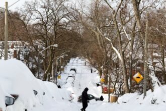 43AX6S7LKZBSXPV3K4Z2D7MV2I