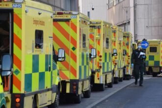 4eb02170-d42c-11ef-b20c-8bcfada6218e