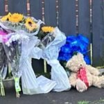 5b76f790-7a8f-11ef-9794-318bb7f3773a