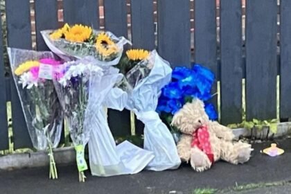 5b76f790-7a8f-11ef-9794-318bb7f3773a