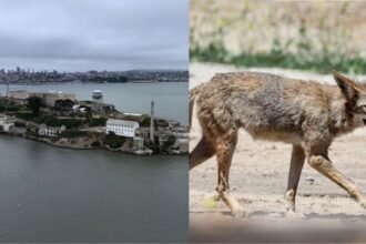 64fe95d0-fe45-11f0-b7e1-afb6d0884c18