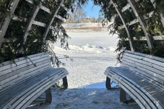 697dfe033c854.image_