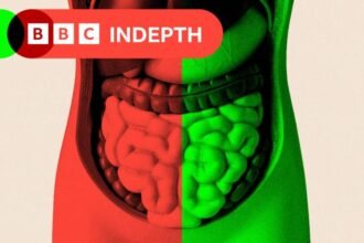 69fdec90-efc5-11f0-b385-5f48925de19a