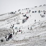 73f23aabf944df634bfd303eb1e176b6Y29udGVudHNlYXJjaGFwaSwxNzY4MTIzODc4-2.83001753