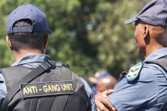 7416edf0-f766-11f0-9ea1-2582126020d7