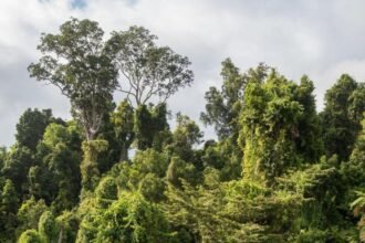 74c89260-aa51-11f0-bee7-c3688d7175cc