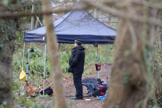 75e02630-f6ab-11f0-a917-d3d793525367