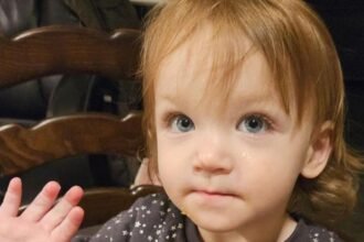 7a969db0-f83d-11f0-9942-9d94373efa41