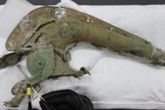 88eafee0-eb92-11f0-a422-4ba8a094a8fa