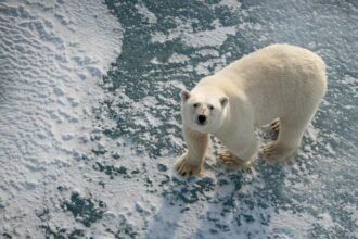 8f1c7800-fc56-11f0-8617-9b1f1bfe5268