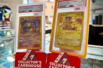 985c06e0-f852-11f0-b385-5f48925de19a