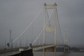 9caf20c1c503582950443d12e118f87eY29udGVudHNlYXJjaGFwaSwxNzY5NTc0OTE4-2.82729302