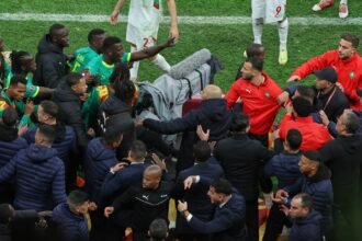 AP26018784643373-1768836352