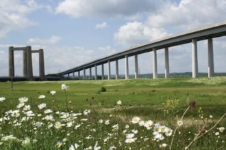 Bridge20and20flowers