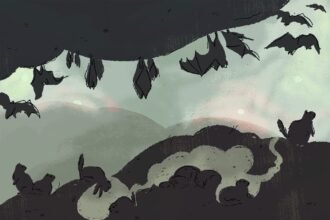 DL6JETBBBRFMXLQQOJUSUHIIU4