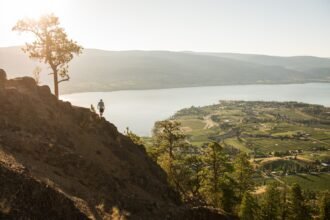 GXHI6ZGHCBCVLKOFVPPZUUJRTY