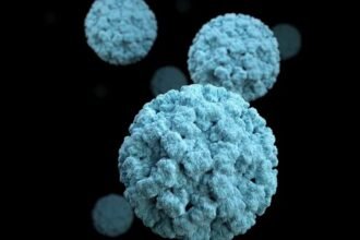 Norovirus-CDC-1