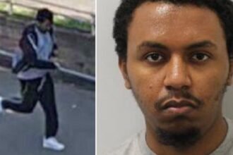 SEC_281932127-83ee_1769175396