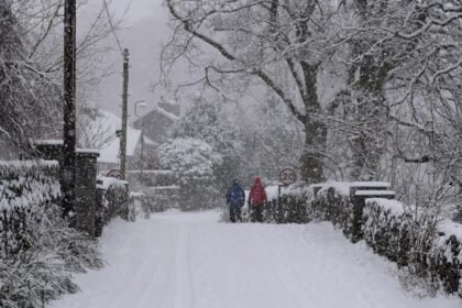 b195f6c0-f2d0-11f0-b385-5f48925de19a