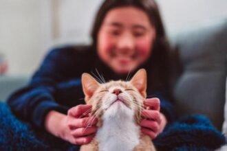 c8bb1440-ca0b-11f0-86af-23a21b51892f