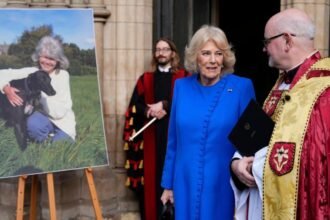 d147f360-fdca-11f0-a8b8-bdd2c5f9bcad