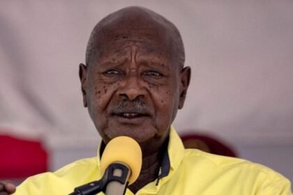 d7993380-ebf2-11f0-8608-ef259671aea9