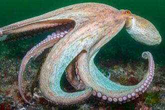 f1505290-df31-11f0-a8dc-93c15fe68710