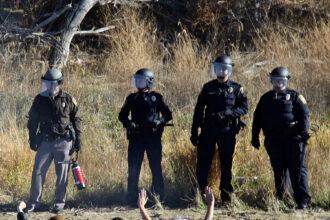 00cli-greenpeace-01-mediumSquareAt3X