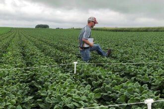 00cli-hfo-weedkiller-vmqk-mediumSquareAt3X